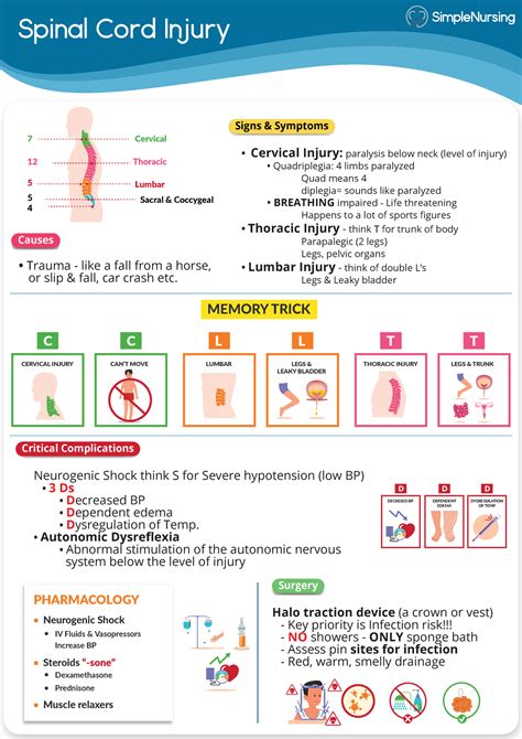 1 Spinal Cord Injury Simple Nursing Spinal Cord Injury Trauma