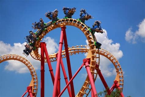 Busch Gardens Tampa Un Combo Perfecto Entre Adrenalina Y Naturaleza