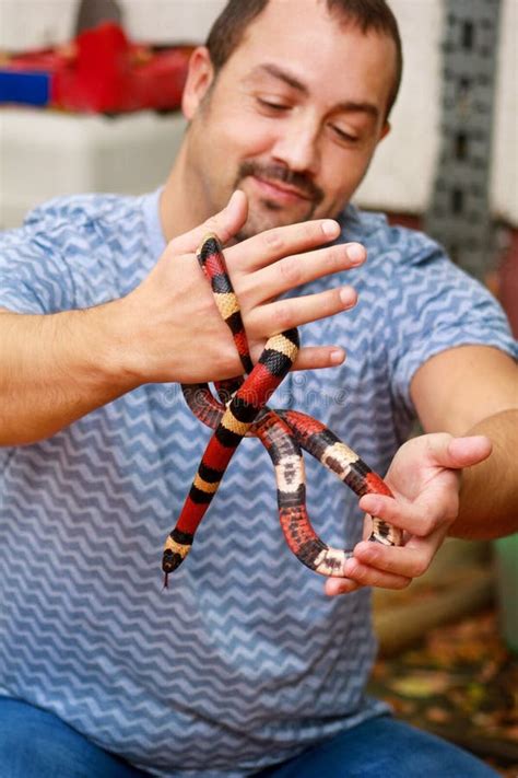 Menino Serpentes O Homem Realiza No Tipo Do Arizona Do Triangulum