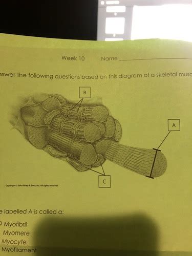 Biol Chapters Flashcards Quizlet