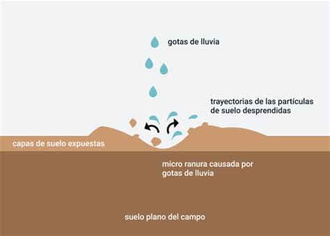 Presentador Agradable Escarcha Cuales Son Las Fases De La Erosion