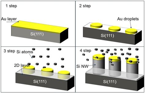 4 Main Formation Stages Of Vapor Liquid Solid Vls Approach [5] Top Download Scientific