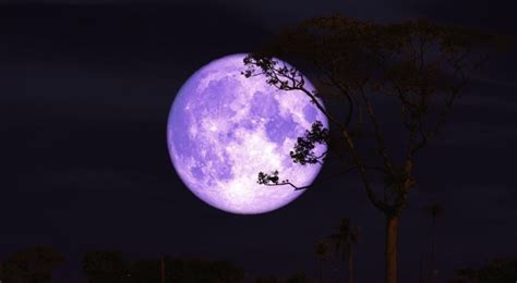 What Is A Buck Moon? | The Fact Site