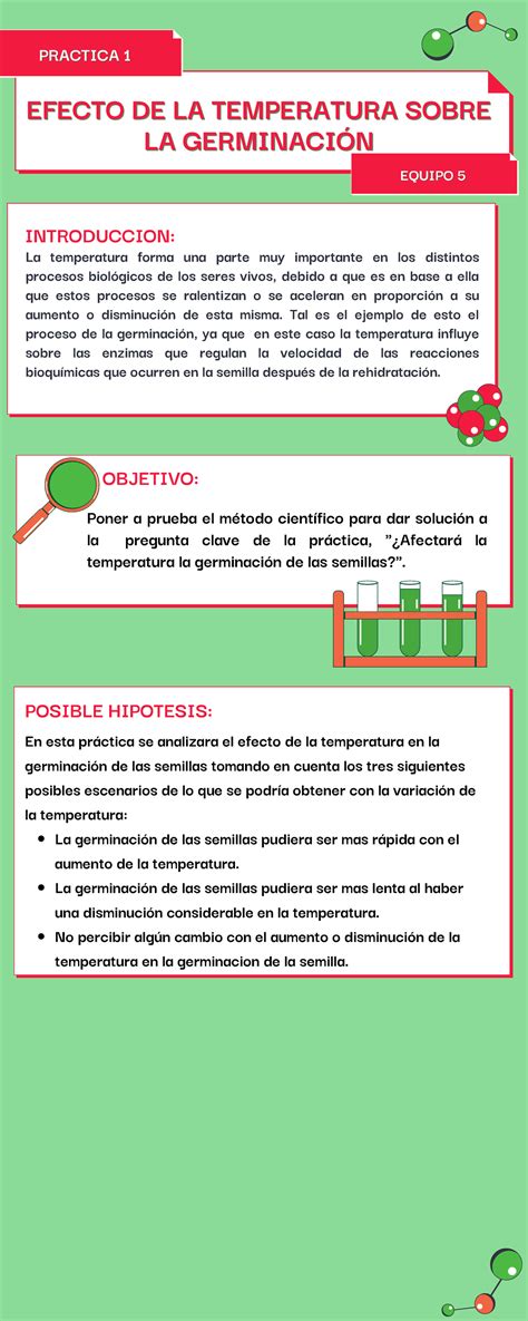 Efecto De La Temperatura Sobre La Germinaci N Efecto De La