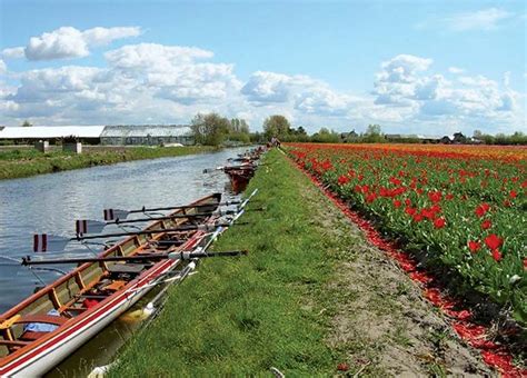 Zuid Holland Hague Rotterdam Delft Britannica