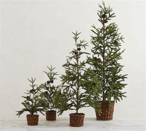 Pre Lit Faux Pine Trees In Basket Pottery Barn