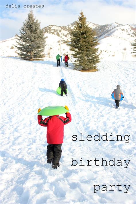 Delia Creates Sledding Birthday Party Sledding Birthday Party