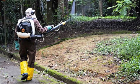 Mortes de três macacos por febre amarela são confirmadas em Juiz de