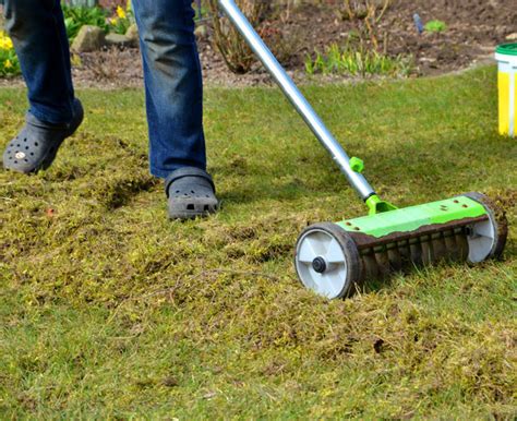 How To Stop Lawn Moss Prevent Lawn Moss Turfonline