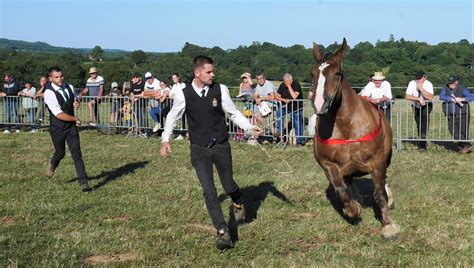 2022 23 Concours départemental du cheval breton ESPRITRAIT