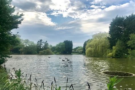 Rockells Farm Fishing Lake And Holiday Accommodation Fishery Guide