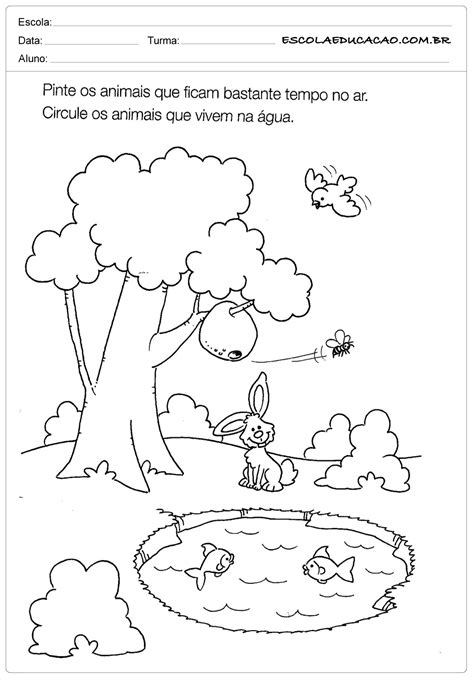 Atividades De Ciencias Educação Infantil