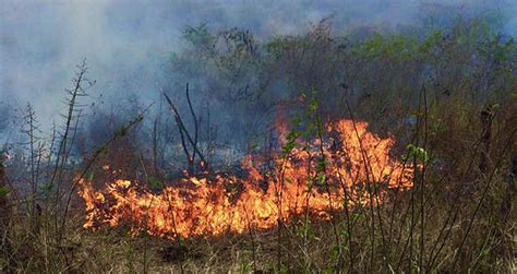 Fue Declarada La Calamidad Pública Por Incendios Forestales En Neiva