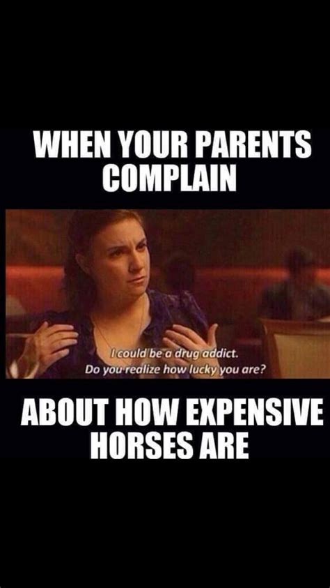 17 Of Our Favorite Equestrian Memes Artofit