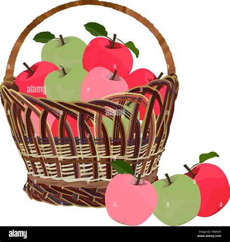 Drawing basket apples hi-res stock photography and images - Alamy