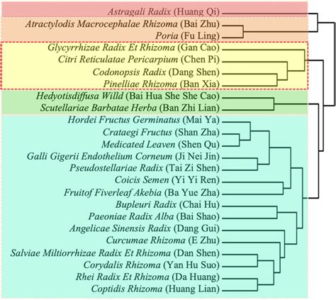 Unsupervised Hierarchical Cluster Analysis Of The 24 Most Frequently