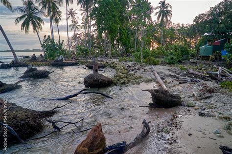 Storm surge damage, eroded beach, Pacific islands village house Stock Photo | Adobe Stock