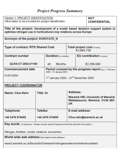 Project Summary Report - 10+ Examples, How to Make, PDF