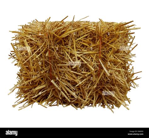 Bale Of Hay Front View Isolated On A White Background As An Agriculture