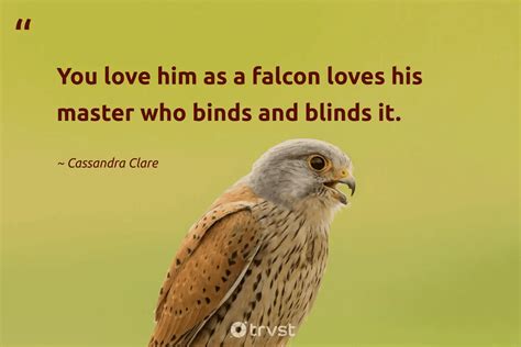 20 Falcon Quotes To Soar Your Spirits High