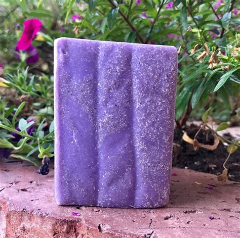 Lavender Pumice Soap Handmade Soap Cold Process Soap Etsy