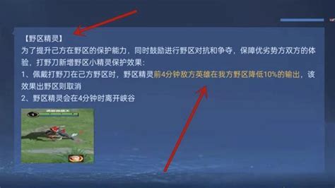 王者荣耀野区保护机制是什么 王者荣耀野区保护机制一览 梦幻手游网