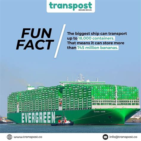 Transpost on LinkedIn: #transpost #logistics #logistic #logistics # ...