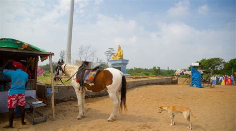 Mamallapuram Beach Tours - Book Now | Expedia