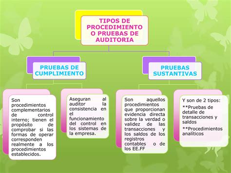 Tipos De Procedimiento De Auditoria Ppt