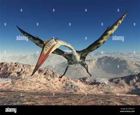 Quetzalcoatlus Hi Res Stock Photography And Images Alamy