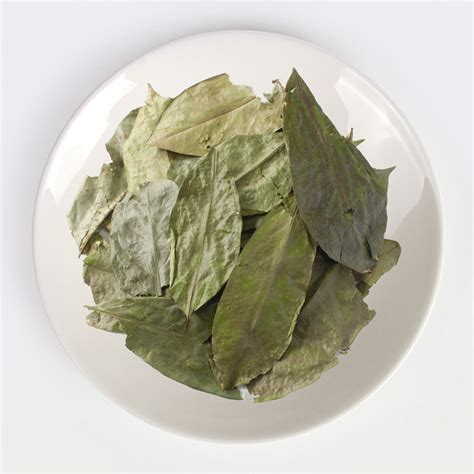 Organic Soursop Leaves - Whole | Buy Online | Request a Quote