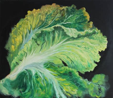 Cabbage Painting At Explore Collection Of Cabbage