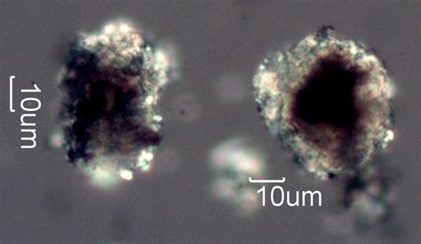 Cement Clinker Under The Microscope