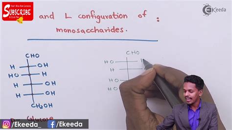 D And L Configuration Of Monosaccharides Biomolecules Chemistry Class 12 Youtube