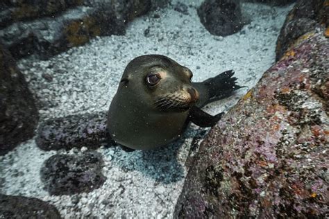 Private Trip Espiritu Santo Island