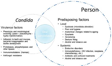 Host Predisposing Factors And Virulence Factors Of Candida Involved In Download Scientific