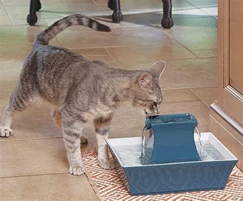 Fontaine Eau Pour Chat En C Ramique L Drinkwell Pagoda Zen