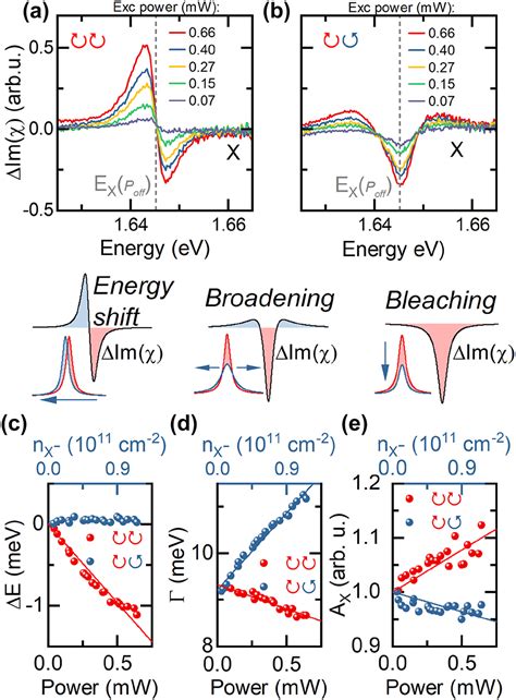 Interactions And Ultrafast Dynamics Of Exciton Complexes In A Monolayer