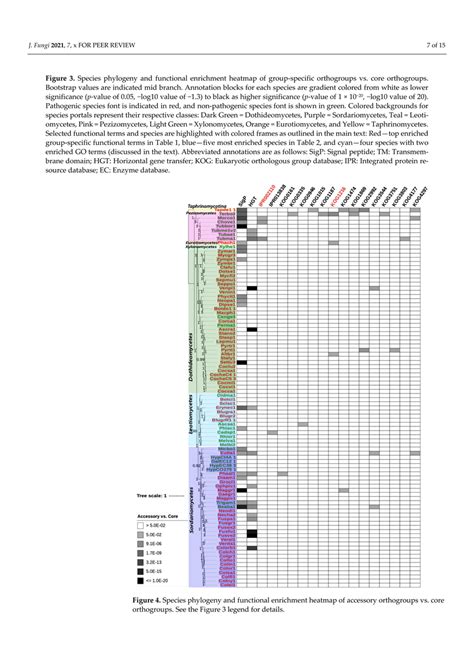 Species Phylogeny And Functional Enrichment Heatmap Of Accessory