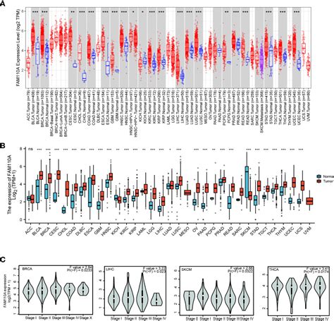 Frontiers Pan Cancer Analysis Reveals Potential Of Fam110a As A