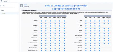 Overview Of User Management And Object Level Security In Salesforce