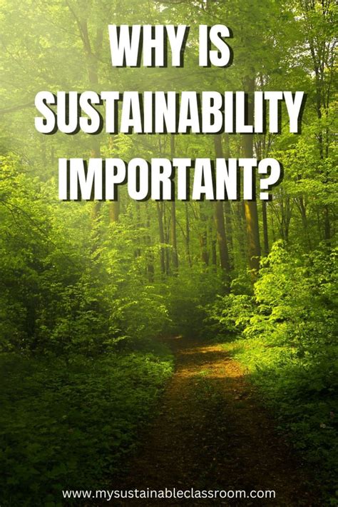 Embracing Sustainability: Why is Sustainability Important?
