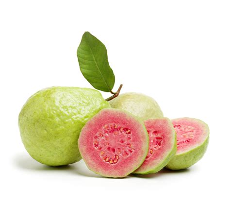 Guava Tropical Imports Exports