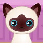 Guess Who? - 在 SilverGames.com 在线玩 🕹️
