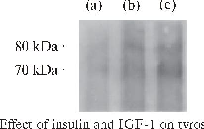 Figure From Comparative And Ontogenic Biochemistry And Immunology