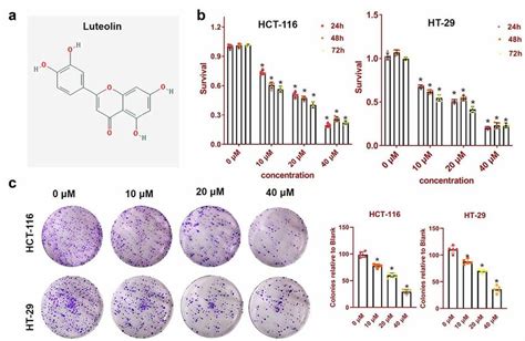 Luteolin Inhibits The Cell Viability And Proliferation Of Colorectal