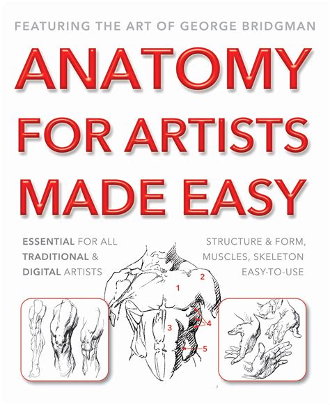 Best Drawing Anatomy Books Drawing Rjuuc Edu Np