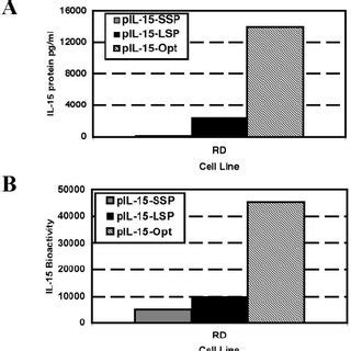 Plasmid Il Constructs A Amino Acid Alignment Of Il Ssp Lsp