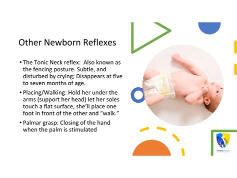 Neonatal Reflexes