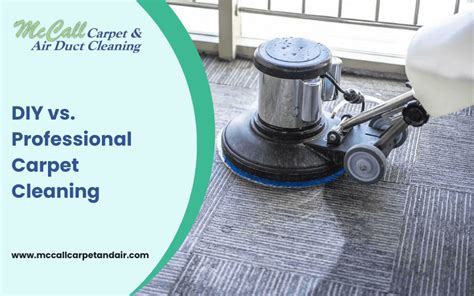 Diy Vs Professional Carpet Cleaning Which Is Best Mc Call Carpet And Air